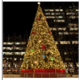 Large Frame Christmas Tree 5-50 Outdoor Giant Tree Hotel Shopping Center Decoration Green Simulation Big Xmas Tree