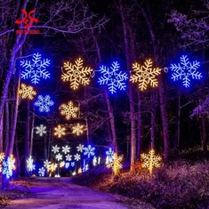 „Hoyechi“ šaltinių gamyklos partijos pritaikymas Kalėdų lauko LED snaigės žibintai IP65 vandeniui atsparūs